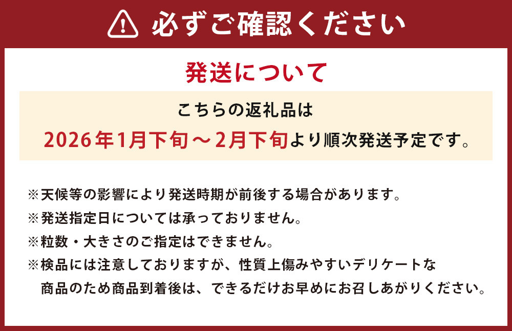 【2024年1月下旬発送開始】 パール柑 【規格外品】ご家庭用 約10kg サイズ不選別