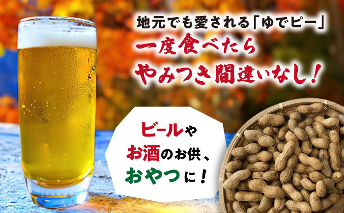 塩ゆで落花生 合計約450g（225g×2袋/ ゆでぴー 落花生 ピーナッツ ナッツ おつまみ おやつ / 大村市 / 浦川豆店 [ACZR011]