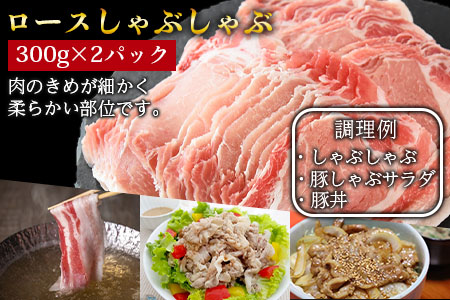 ★数量限定★＜宮崎県産 豚肉 詰め合わせセット 合計1.8kg＞1か月以内に順次出荷【 豚 肉 豚肉 数量限定 とんかつ 焼肉 しゃぶしゃぶ 小分け 食べ比べ 期間限定 ミヤチク -】