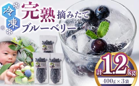 冷凍ブルーベリー 計1.2kg ( 400g × 3パック ) 熊本県産ブルーベリー 山都町産 フルーツ スムージー 果物 小分け 国産【清和の恵み工房】[YAA003]