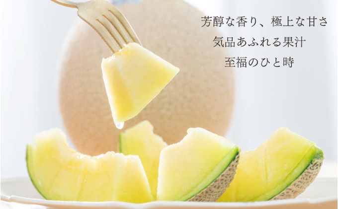 クラウンメロン【並（白等級）】1玉（1.3kg前後）＋うなぎ