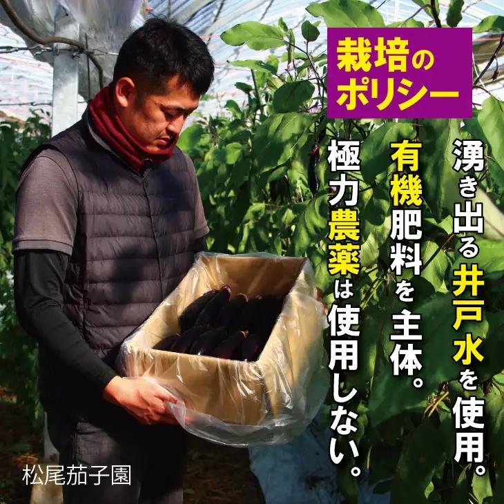 小城市産 筑陽ナス 4kg 朝採れ 新鮮 ハウス栽培 茄子　A095-021