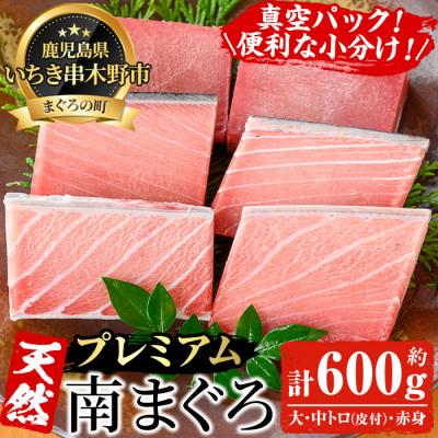 ふるさと納税 いちき串木野市 天然南マグロ大トロ・中トロ・赤身 各100g×2 計600g