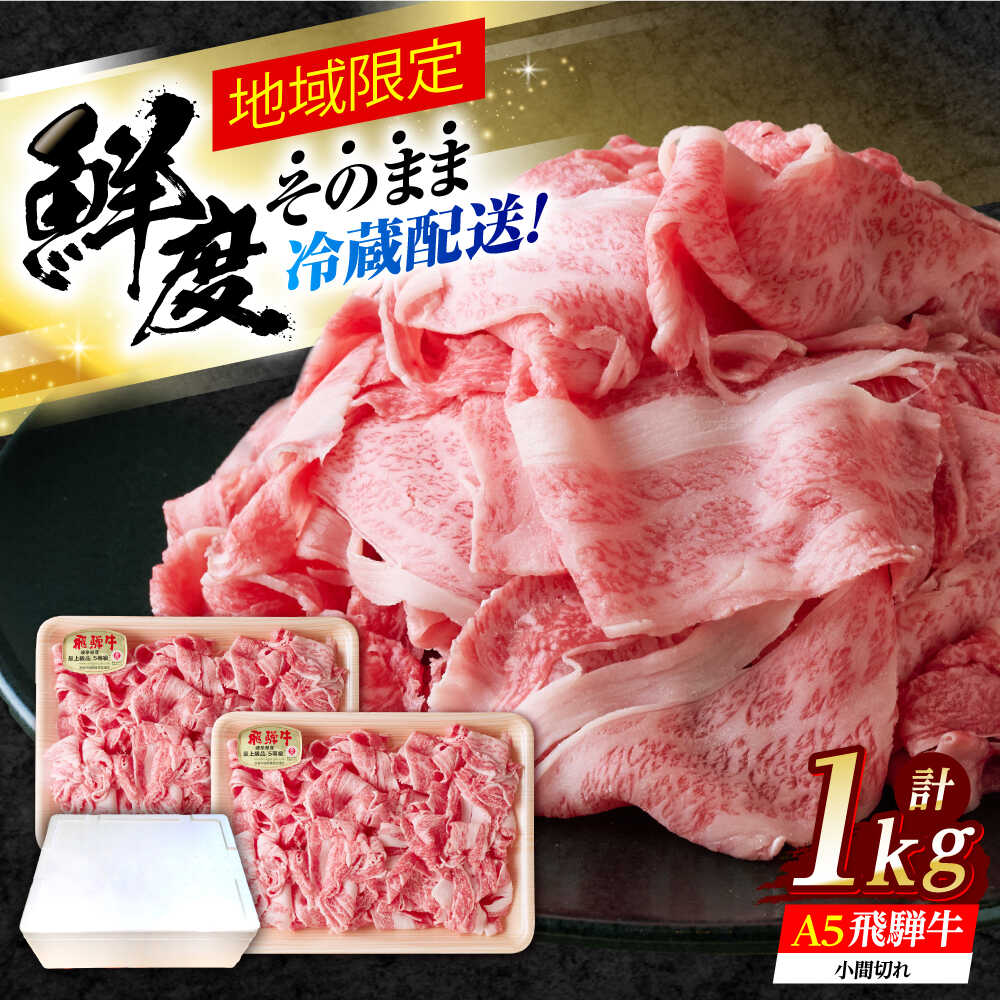 【ふるさと納税】※冷蔵配送/地域限定※ 飛騨牛 小間切 (大) 500g×2セット 瑞浪市 / きなぁた瑞浪 和牛 飛騨牛 ひだぎゅう 国産 岐阜県産[AZCI027]