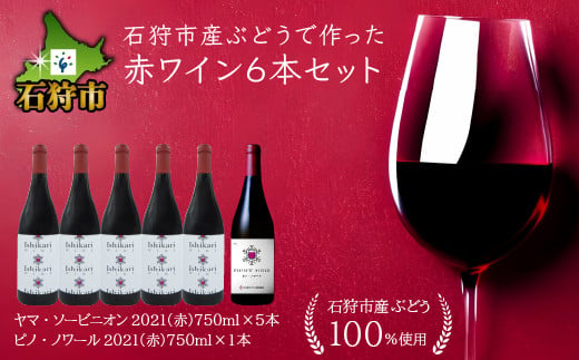 
330011001 【数量限定】石狩市産ぶどうで作った赤ワイン６本セット / ワイン 赤ワイン 白ワイン
