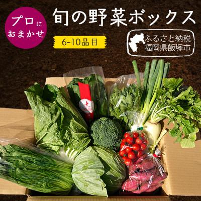 ふるさと納税 飯塚市 プロにおまかせ　筑前のお野菜ボックス6〜10種類【お野菜の詰め合わせ100サイズ】【福岡県飯塚市】