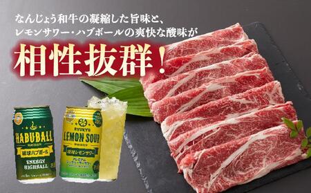 なんじょう和牛（しゃぶしゃぶすきやき）＆レモンサワー・ハブボール BG102