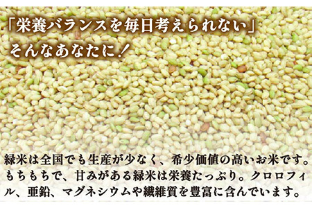 壱岐島の古代米 緑米 3kg (1kg入り × 3袋)[JDB124]