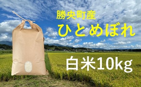 令和6年産　食味コンテスト受賞者の作るお米シリーズ「ひとめぼれ白米10kg」_【10月下旬から3月発送】_S99