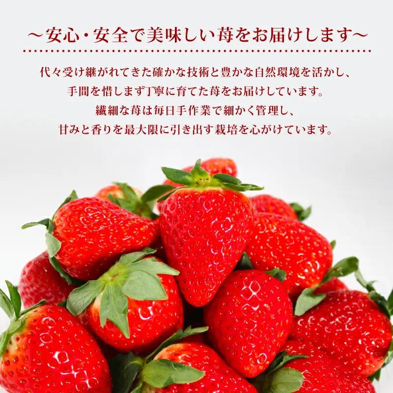 【2027年1月～発送予定】いちご 奈乃華と古都華のセットいちご 約270g×2パック