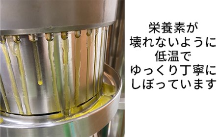 エゴマオイル(EGOMA OIL) 170g 無農薬栽培 低温直圧搾油法 大分県産＜143-008_5＞