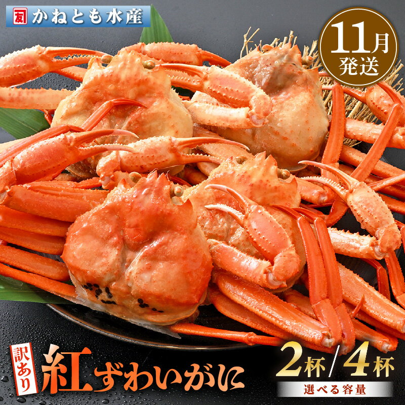 【ふるさと納税】【訳あり】≪浜茹で≫越前産 紅ずわいがに 約700g × 2杯 〜 4杯 食べ方しおり付【紅ズワイガニ カニ かに 蟹 姿 ボイル 冷蔵 福井県】【11月発送分】希望日指定不可