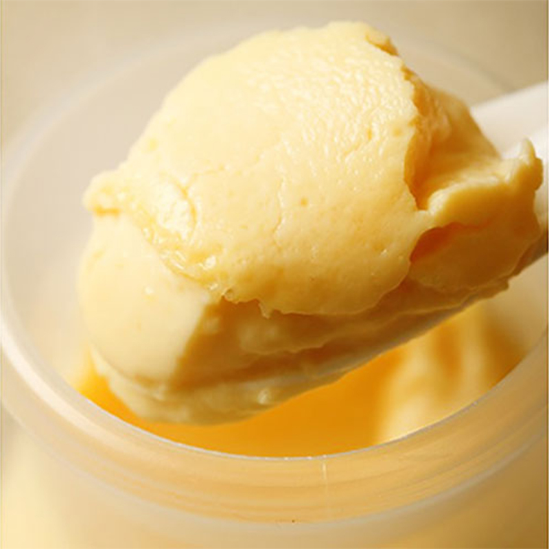 【昭和39年創業】こがね町プリン16個セット 北海道 滝川市 銘菓 お菓子 スイーツ ご当地 お土産