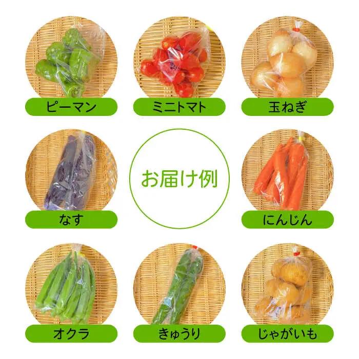 【12回定期便】野菜定期便 7?10品目 / ながさき南部 [SBW005] 