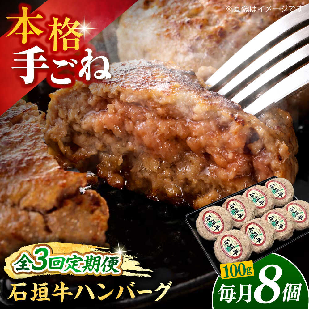 【ふるさと納税】【全3回定期便】沖縄県産石垣牛ハンバーグセット 800g (100g×8個) 牛 ハンバーグ 冷凍 ギフト お取り寄せ 父の日 沖縄市 / お肉屋本店[BCAZ012]