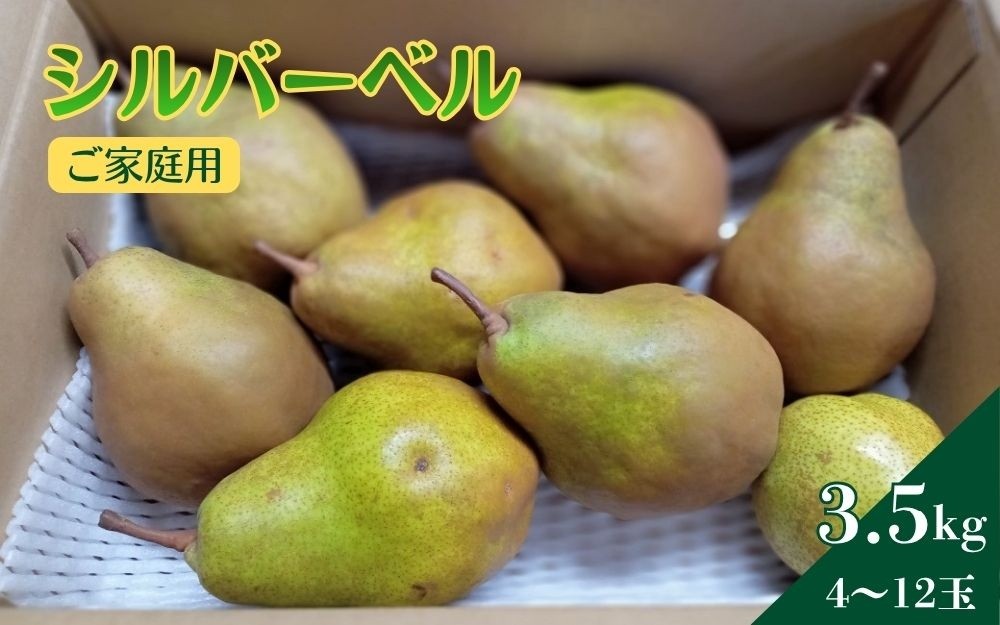 
                  西洋梨（シルバーベル）３.５ｋｇ　ご家庭用　0142-2617
                