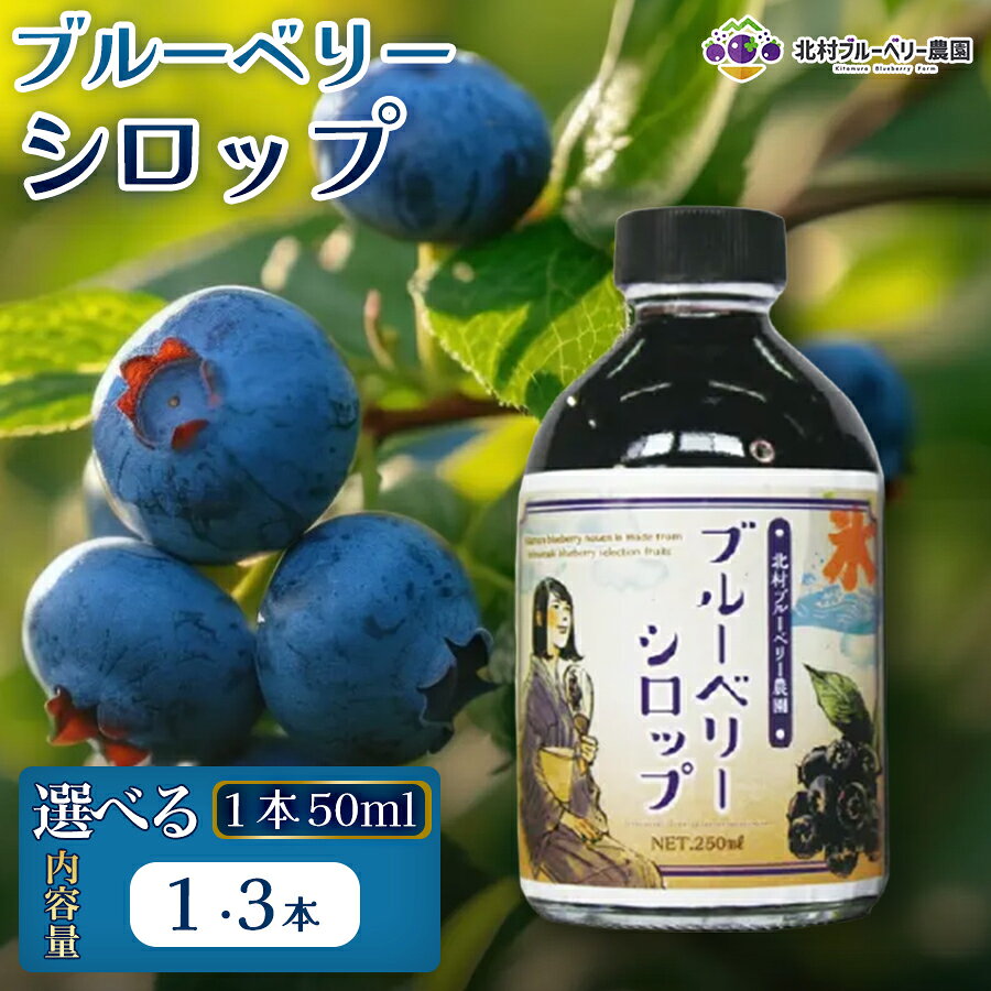 【ふるさと納税】 ブルーベリー シロップ 50ml 選べる 数量 1本 or 3本 手作り 果汁 フルーツ かき氷 カクテル アレンジ