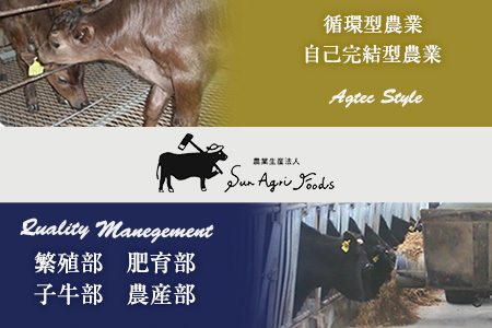 ステーキ 味噌 3kg 肉 牛肉 カット E245