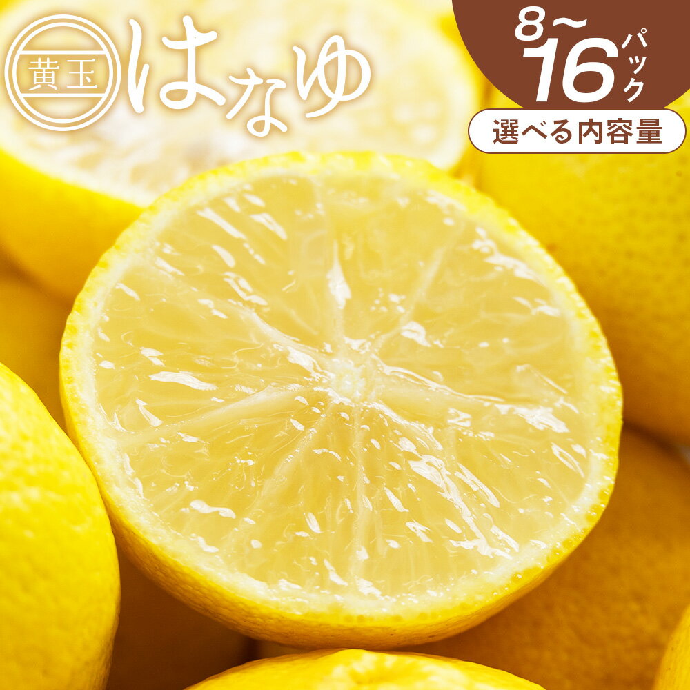 【ふるさと納税】【2026年11月以降順次配送】【選べる内容量】虎弥太郎 はなゆ黄玉 （内容量：8～16パック） - 選べる 数量 国産 ゆず 柚子 ユズ 花柚子 柑橘 香酸柑橘 果物 花皮果汁 フルーツ 果実 料理 酒 ハイボール 焼酎 アレンジ おすそ分け 高知県 香南市 【冷蔵】
