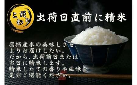 【6回定期便】ゆめぴりか (精白米)  5kg×6回 真空パック  【2025年10月下旬より発送開始】 30kg  北海道 鷹栖町 たかすのお米 特別栽培米 米 コメ ご飯 精 白米 お米 ゆめぴり
