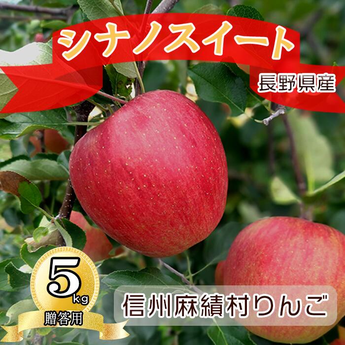 【ふるさと納税】【2026年 令和8年産】長野 麻績村 りんご 期間限定 贈答品5kg ギフト 自宅用 贈り物 自宅用にも ギフトにも シナノスイート 聖弘園 国産 果物 フルーツ 林檎