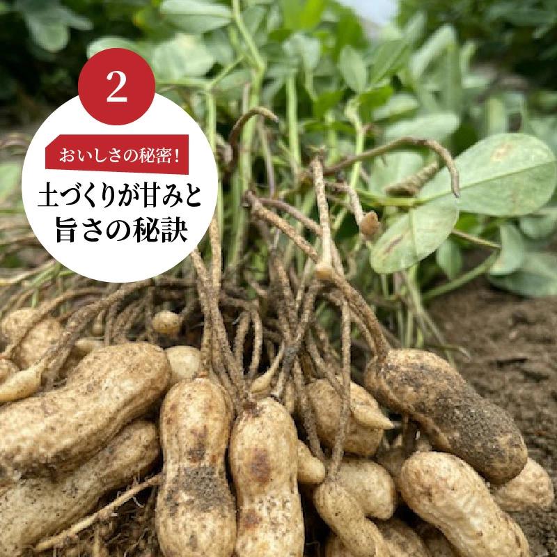 【2026年発送】事前予約 やみつき極うま “金の生落花生” 1kg(500g×2袋) 生ピーナッツ 塩ゆで専用　H105-141