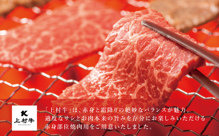 鹿児島県産 上村牛 赤身焼肉用 計600g (200g×3P) 小分け 冷凍 お肉 国産 焼肉 焼き肉 カミチク BBQ バーベキュー おうちごはん 南さつま市