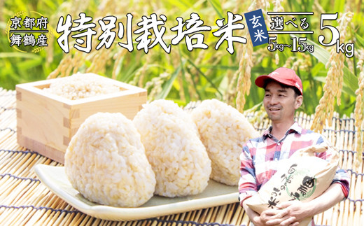 
            【令和7年度産 新米 先行予約】 棚田米 玄米 5kg 特別栽培米 7割削減 農家直送 生産者直送 コシヒカリ こしひかり 5キロ 京都産 舞鶴産 京都 お米 米 ごはん ご飯
          