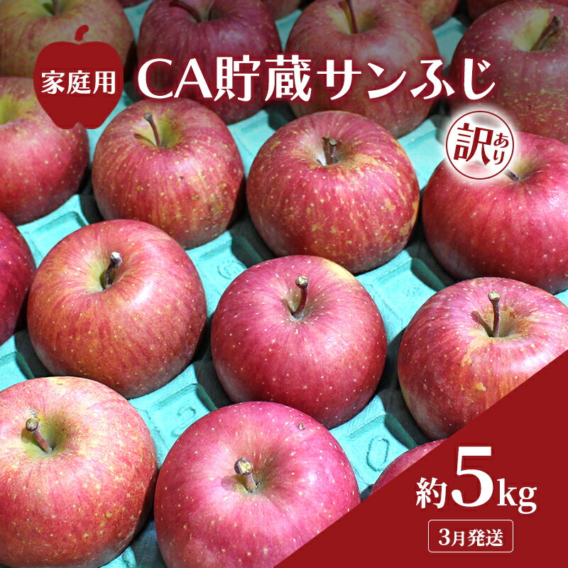 【ふるさと納税】3月発送 家庭用 訳あり CA貯蔵 サンふじ 約 5kg りんご リンゴ 林檎 果物 フルーツ わけあり 青森　お届け：2026年3月1日～2026年3月15日