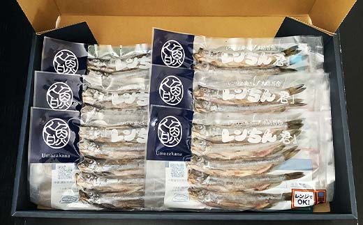 レンちん君釧路産本しゃもオス30尾セット シシャモ 冷凍 魚 海産物 一夜干し 北海道 F4F-8445