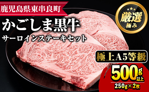 
【30963】鹿児島県産黒毛和牛！A5等級サーロインステーキ(計500g・約250g×2枚)国産 牛肉 肉 冷凍 サーロイン 鹿児島 ステーキ 焼肉 BBQ バーベキュー【前田畜産たかしや】
