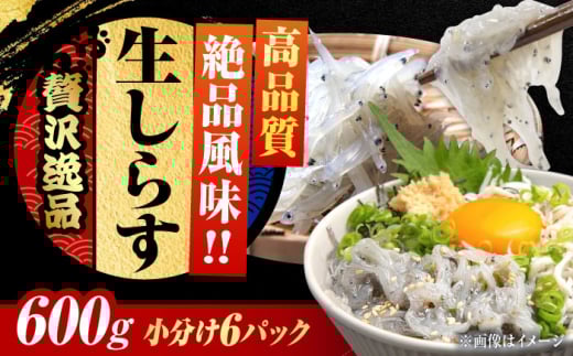 【お中元対象】しらす 冷凍 生しらす 100g×6個 冷凍 しらす シラス 干し 釜揚げ 小分け 魚介類 鮮魚 ギフト 料理 レシピ シラス丼 しらす丼 海鮮丼 生 生産地 おつまみ ご飯のお供 グルメ やみつき 旬 国産 広島県産 リピート ギフト プレゼント 贈答 人気 高品質 好評 保存方法 江田島市/三島水産株式会社 [XCN005]