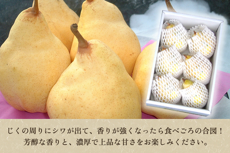 【2024年先行予約】【家庭用】ル・レクチェ 4kg（9?12玉）《11月下旬から順次発送》 果物 梨 洋梨 西洋梨 フルーツ 訳あり 冬の味覚 デザート 産地直送 加茂市 まるさん金子果樹園