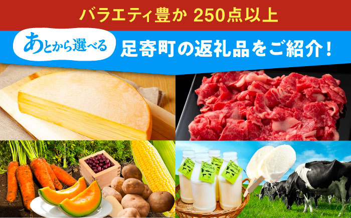 【あとから選べる】足寄町ふるさとギフト 100万円分 足寄町 チーズ [BEBL007]