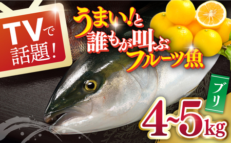 ブリ 平戸なつ香 約4-5kg【（株）坂野水産】[KAA003]/ 長崎 平戸 魚介類 魚 ぶり ブリ 内臓処理済 レシピ 刺身 たたき 刺身 塩焼き 刺身 漬け丼 刺身 しゃぶしゃぶ 刺身 アレンジ 刺身 冷蔵 刺身 国産 刺身 長崎 刺身 長崎 平戸 魚介類 魚 ぶり ブリ 内臓処理済 レシピ 刺身 たたき 刺身 塩焼き 刺身 漬け丼 刺身 しゃぶしゃぶ 刺身 アレンジ 刺身 冷蔵 刺身 国産 刺身 長崎 刺身