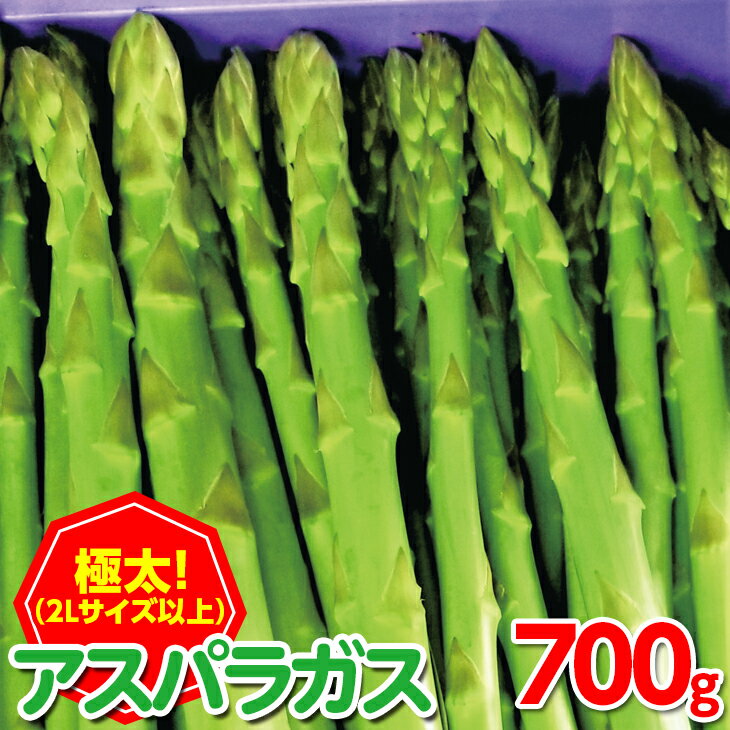 【ふるさと納税】＜先行予約！2026年2月下旬以降順次発送予定＞＜極太＞アスパラガス(約700g・2Lサイズ以上)国産 野菜 アスパラ 産地直送 新鮮 冷蔵便 【man096】【Aglio nero】