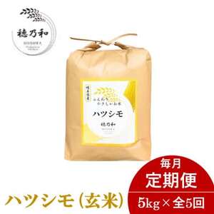 【発送月固定定期便】【先行予約】岐阜県産ハツシモ(玄米)5kg全5回【配送不可地域：離島】【4068430】