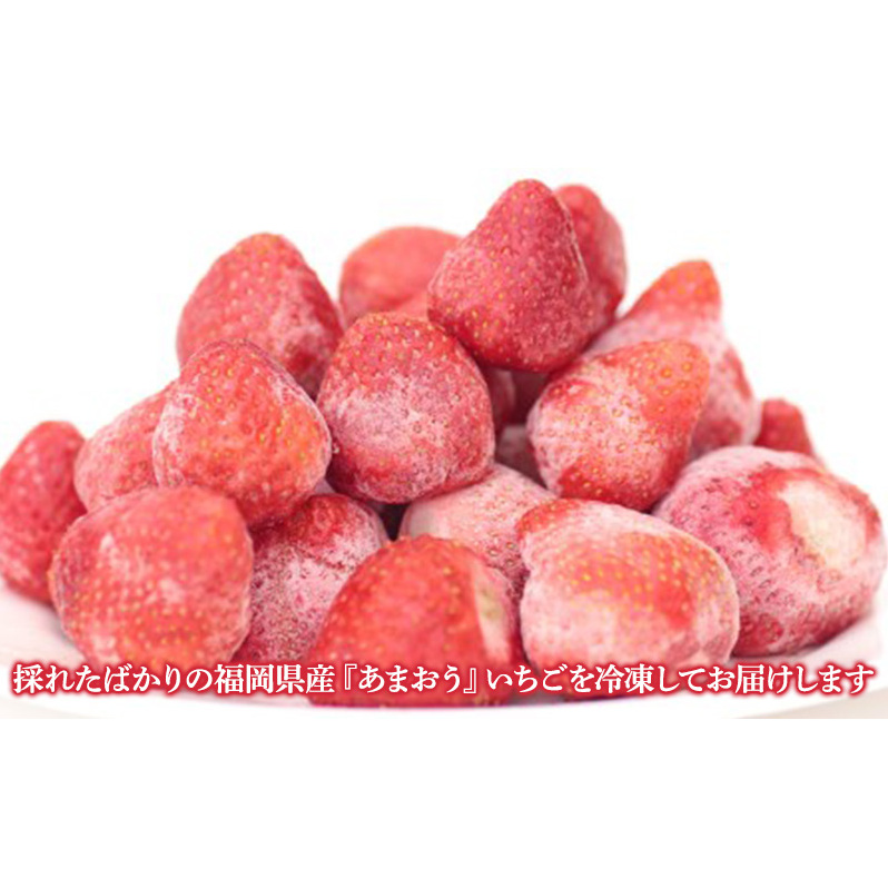 冷凍 あまおう 約1.5kg いちご ※配送不可：北海道・沖縄・離島_イメージ3