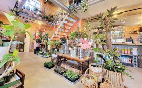 季節の花苗のバスケット ポピー Flowershop Poppy 花苗 花 苗  バスケット 生花 誕生日 記念日 プレゼント Flower フラワー  国産 愛媛 宇和島 K012-125002