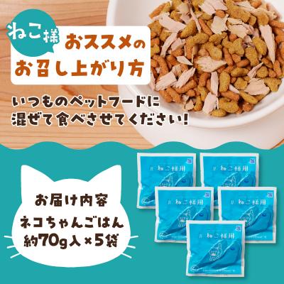 ふるさと納税 焼津市 ねこ様用5点セット(a10-1133) |  | 03