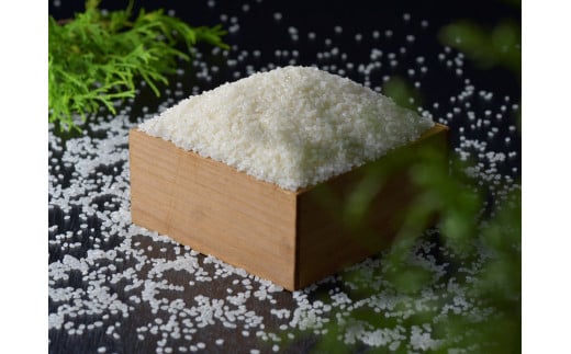 【令和7年産】毎月届く定期便！古河市産コシヒカリ5kg×3回【小久保農園】米/頒布会/分割配送/こしひかり/15kg_AS12