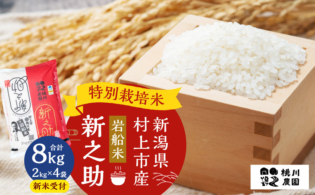 【新米受付・令和8年産米】【精米即日発送】新潟県村上市桃川産 特別栽培米 新之助 8kg（2kg×4袋）NAB4037
