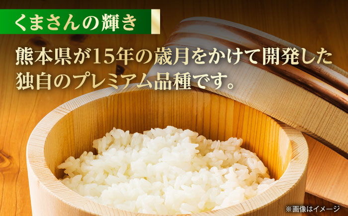 【先行予約】【6回定期便】くまさんの輝き 白米  5kg 山鹿市産 【奥村果実園】 [ZFK020]