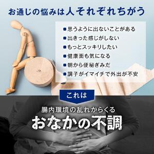 便通を改善する 乳酸菌サプリメント ラクトデル 機能性表示食品 6袋セット◇