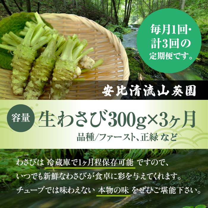 生わさび 300g定期便3ヶ月 【安比清流山葵園】 ／ 山葵 ワサビ 薬味 産地直送 新鮮