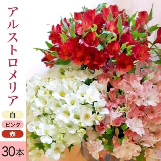 SB0674　アルストロメリアの花束　計30本(白色、ピンク色、赤色/各10本)
