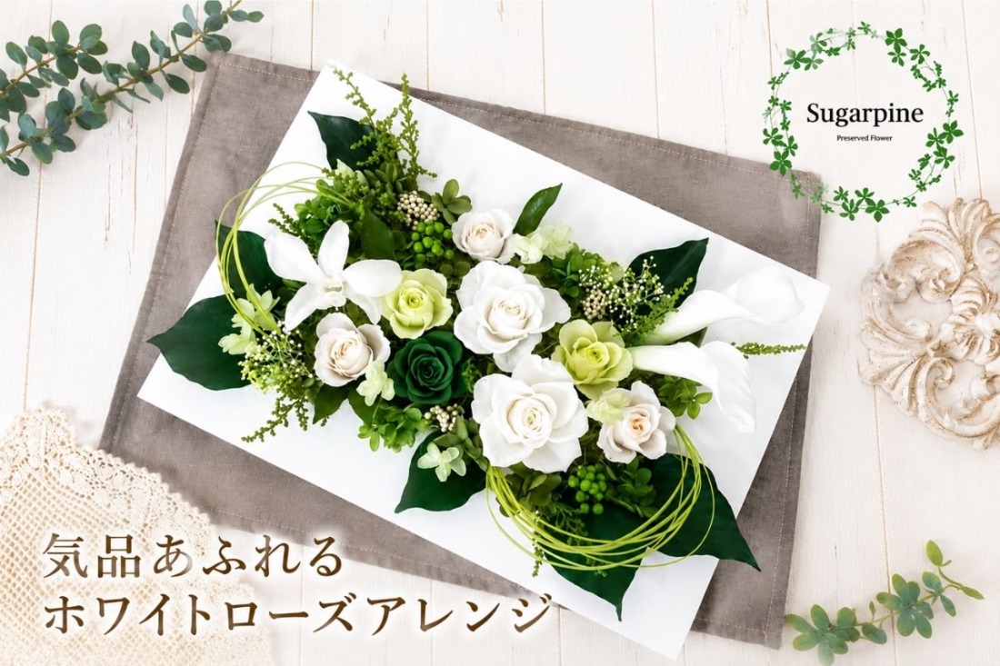 プリザーブドフラワー【レーヴ】【埼玉県 春日部市 シュガーパイン ホワイトローズ 上品アレンジ 記念日 ギフト】(AJ074-2)