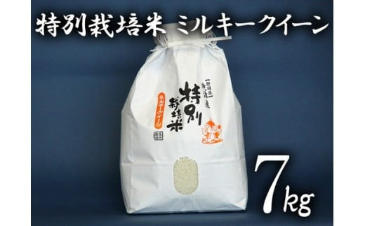 
a15-217　特別栽培米 ミルキークイーン
