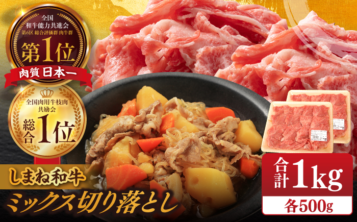 【ブランド牛・しまね和牛】ミックス切り落とし 500g×2パック 生姜焼き・肉じゃが用 島根県松江市/Do corporation株式会社（しまね和牛） [ALFU013]