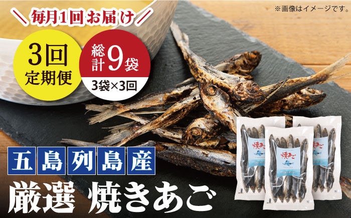 【全3回定期便】【上五島の伝統的な味をご家庭で】 厳選 無添加 焼きあご 100g×3袋 調味料 だし 【新魚目町漁業協同組合】 [RBC010]